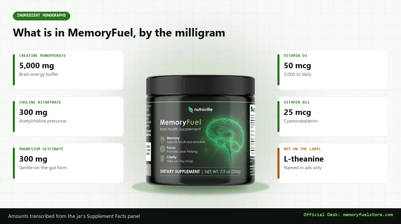 MemoryFuel jar surrounded by ingredient cards: creatine 5,000 mg, choline 300 mg, magnesium 300 mg, vitamin D3 50 mcg, vitamin B12 25 mcg, and a note that L-theanine is not on the label
